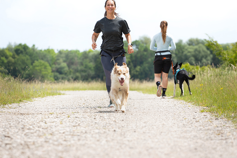 Canicross Dogletix Zughundetraining Gruppentraining